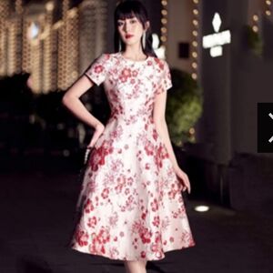 Zara Brocade Floral Metallic Embroidered Midi Dress Size Medium White,Red & Gold